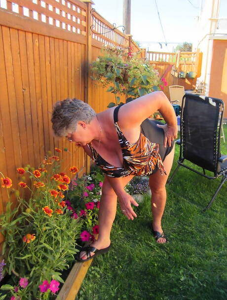 TAC Amateurs offers a free xxx photo gallery with Girdle Goddess xxx gallery 265594